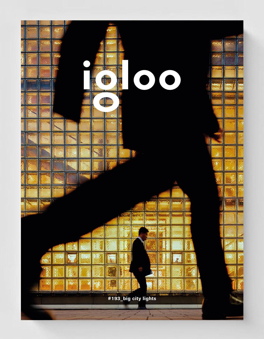 igloo_193